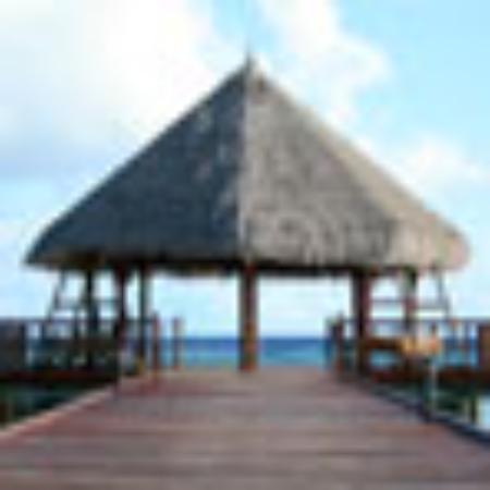 Huo PangZi FeiChang Bao